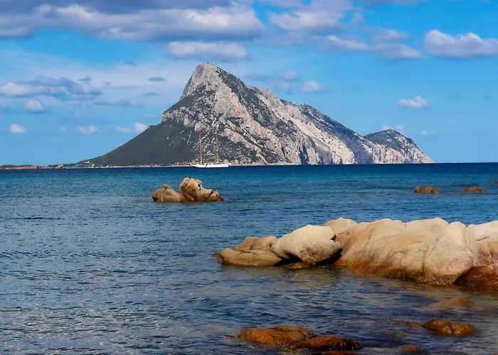 Vicino Aeroporto - Orange Marina Lägenhet *