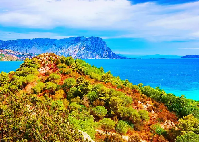 Vicino Aeroporto - Orange Marina * オルビア